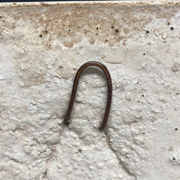 Classic Cardinal Bird Wall Plaque - Picture 8 of 12